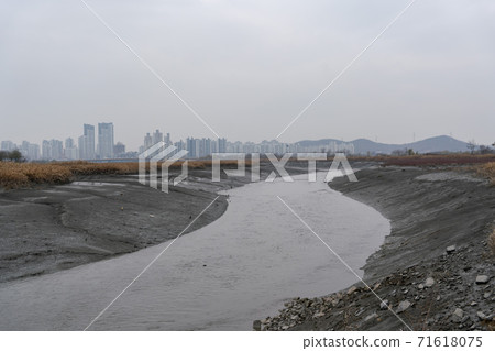 京畿道始興市始興潮汐生態園 71618075