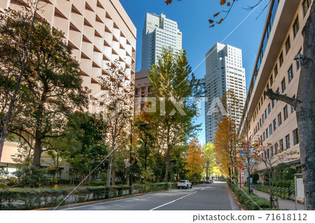 St. Luke Street in Chuo-ku, Tokyo 71618112