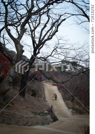 Couple Couple 71618292