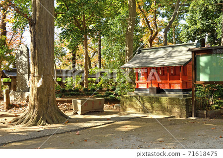 Sa玉縣Sa玉市大分葉冰川神社 Sa玉縣Sa玉市大分葉冰川神社 71618475