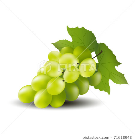 Grape on a white background vector design EPS10. 71618948
