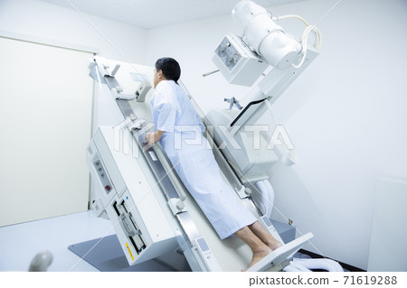 A human dog A human dog 71619288