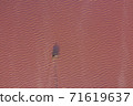 High angle drone view of pink lake where salt is extracted High angle drone view of pink lake where salt is extracted 71619637