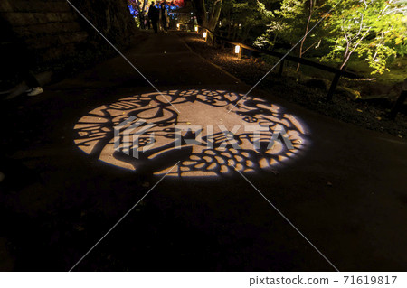 Illuminated autumn leaves Castle Tower Nature Park Taihaku-ku, Sendai 71619817