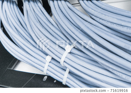 large group of UTP cables, Ethernet cables in rack cabinet, lead 71619916