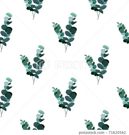 Eucalyptus baby blue branches background. Realistic greenery seamless pattern. 71620562