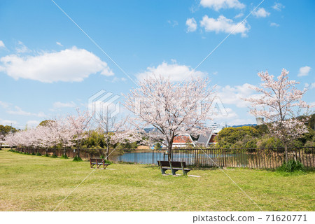 Spring Senri Kita Park 71620771