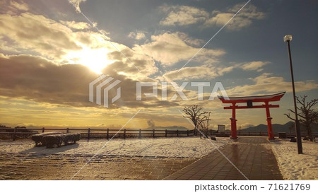 清晨的陽光 清晨的陽光 71621769