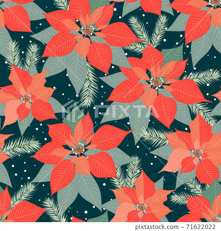 Christmas seamless pattern with poinsettia plant background, Winter pattern, wrapping paper, winter greetings, web page background, Christmas and New Year greeting cards 71622022