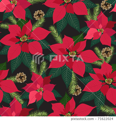 Christmas seamless pattern with poinsettia plant background, Winter pattern, wrapping paper, winter greetings, web page background, Christmas and New Year greeting cards 71622024