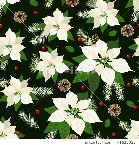 Christmas seamless pattern with poinsettia plant background, Winter pattern, wrapping paper, winter greetings, web page background, Christmas and New Year greeting cards 71622025