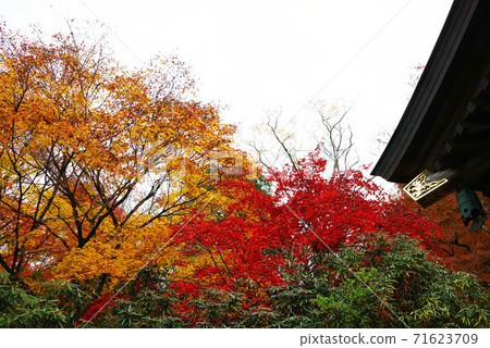 Okocho Eigenji秋葉Momijiji 71623709
