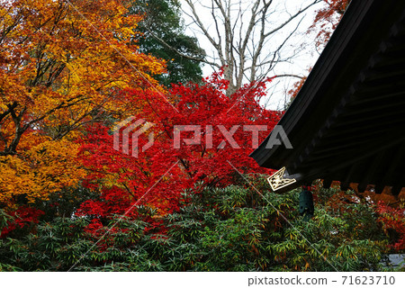 Okocho Eigenji秋葉Momijiji Okocho Eigenji秋葉Momijiji 71623710