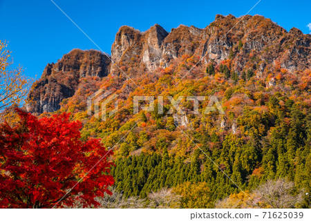 [群馬縣]取材於妙木山/妙木山全景公園，有秋葉<卡米格山山> 71625039