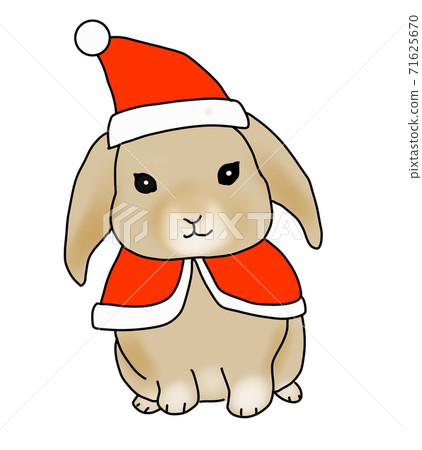 Rabbit dressed as Santa 71625670