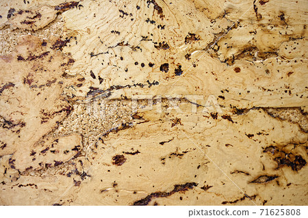 The texture of a cork tree. Empty yellow surface with cracks. Abstract background close-up. The texture of a cork tree. Empty yellow surface with cracks. Abstract background close-up. 71625808