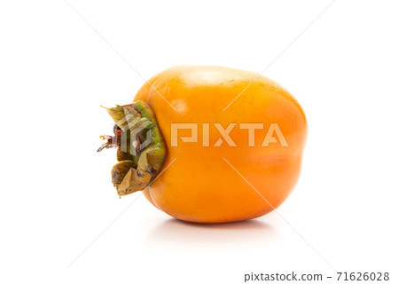Saijo persimmon Saijo persimmon 71626028