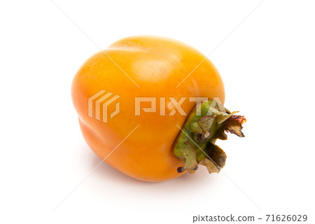Saijo persimmon Saijo persimmon 71626029
