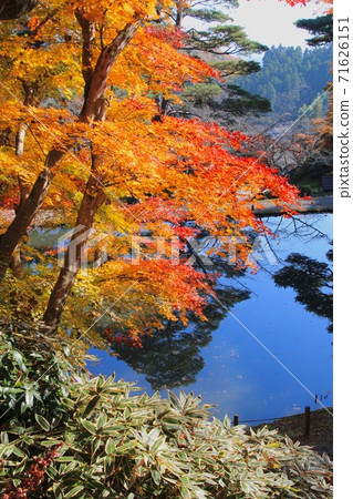 Ashigajo Park in autumn (Fukushima Prefecture, Nihonmatsu City) 71626151