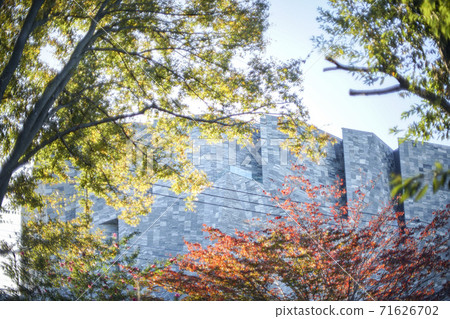 Kadokawa Musashino Museum Tokorozawa Sakura Town 71626702
