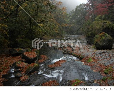 River scenery in Japan: Kikuchi River and autumn leaves in Kikuchi Valley, Kumamoto Prefecture River scenery in Japan: Kikuchi River and autumn leaves in Kikuchi Valley, Kumamoto Prefecture 71626703
