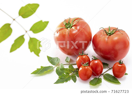 大番茄和櫻桃番茄番茄葉 71627723