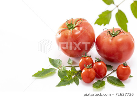 Large tomatoes and cherry tomatoes with tomato leaves 71627726