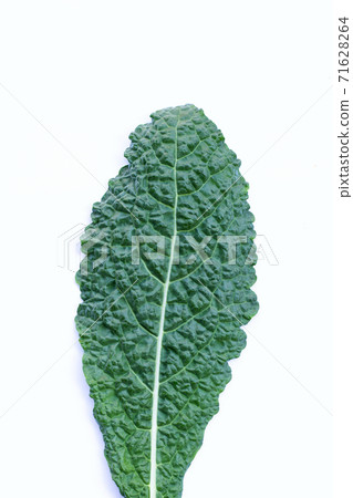 Fresh organic green kale leaves on white background. Fresh organic green kale leaves on white background. 71628264