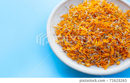 Petals of marigold flower on plate. Blue background with copy space Petals of marigold flower on plate. Blue background with copy space 71628265