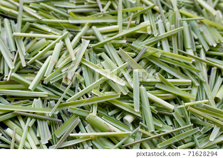 Close up organic lemongrass. leaves cut 71628294
