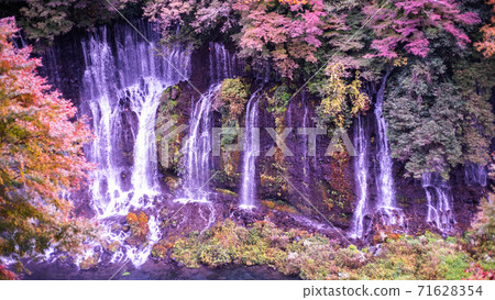 Watch Shiraito Falls and autumn leaves Watch Shiraito Falls and autumn leaves 71628354