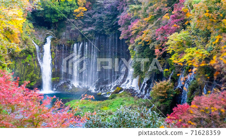 Watch Shiraito Falls and autumn leaves 71628359