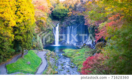 Watch Shiraito Falls and autumn leaves 71628360