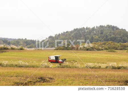 收割機收割蕎麥麵（最早） 71628530