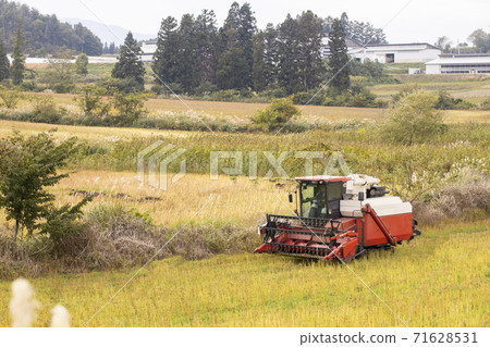 收割機收割蕎麥麵（最早） 71628531