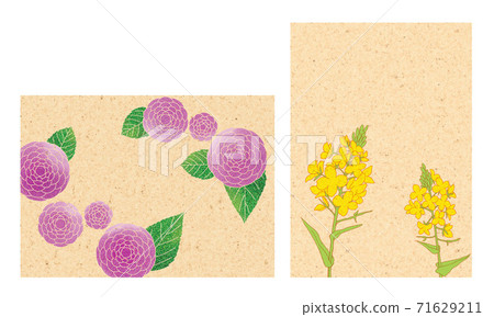 Postcard of maiden camellia and rape blossoms Postcard of maiden camellia and rape blossoms 71629211