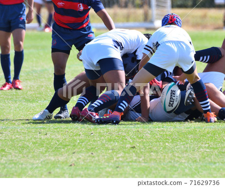 Rugby 71629736