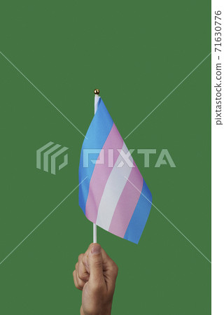 person waving a transgender pride flag 71630776