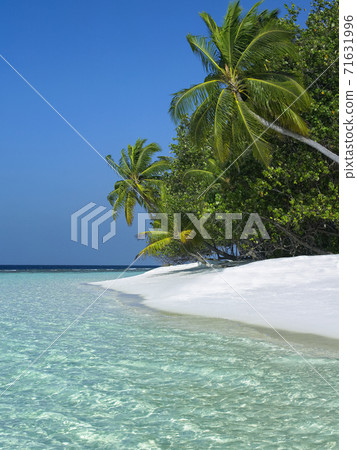 Tropical paradise in the Maldives Tropical paradise in the Maldives 71631996