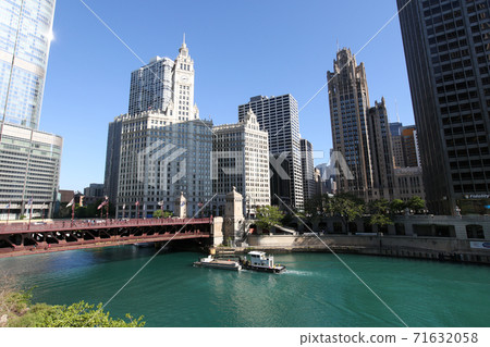 美國，伊利諾伊州，芝加哥，箭牌大廈 71632058