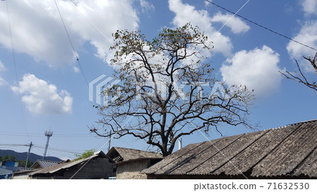 Korea Tour-Countryside Village Scenery Korea Tour-Countryside Village Scenery 71632530