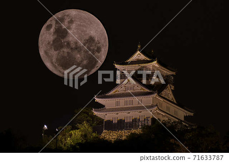 Gifu Castle and the Moon 71633787