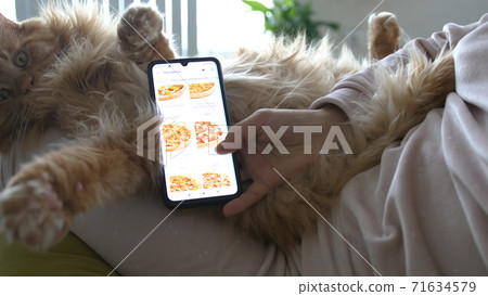 A woman orders pizza using online delivery sitting on coach with Maine Coon cat in living room. Girl orders food home in online store using a smartphone. Female ordering pizza using food delivery app. 71634579