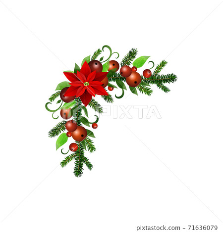 Christmas Holly brunches decoration vector Christmas Holly brunches decoration vector 71636079