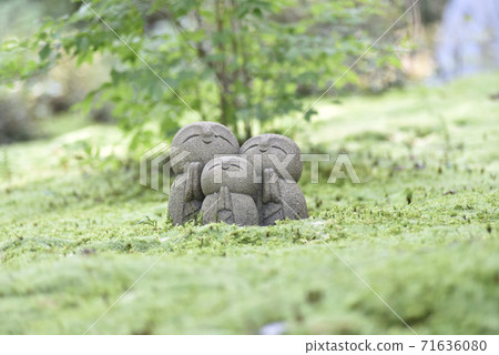 Shisendo Jizo 71636080