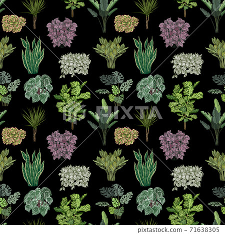 Various potted plants seamless pattern. Houseplants background Various potted plants seamless pattern. Houseplants background 71638305