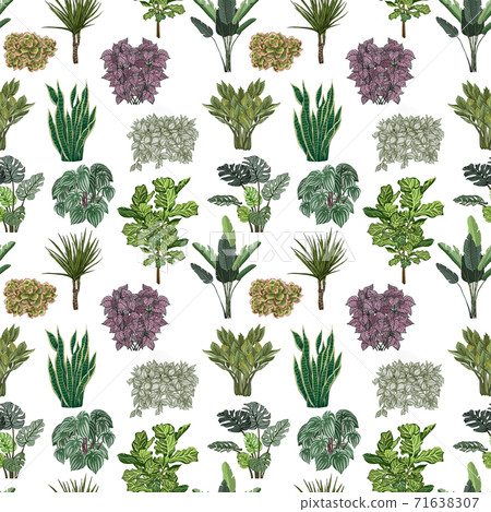 Various potted plants seamless pattern. Houseplants background Various potted plants seamless pattern. Houseplants background 71638307