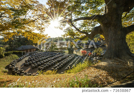 Myeongjae house 71638867