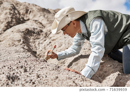 man paleontologist cleans the find with a brush in the desert man paleontologist cleans the find with a brush in the desert 71639939