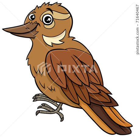 cartoon xenops bird comic animal character 71640467